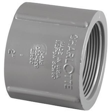 Charlotte Pipe And Foundry Charlotte Pipe Schedule 80 1/2 in. FPT X 1/2 in. D FPT PVC Coupling 1 pk PVC 08102 1000